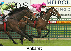 Ankaret (16519 bytes)