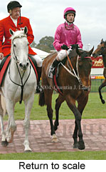 Return to scale (17972 bytes)