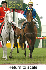 Return to scale (17972 bytes)