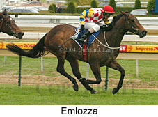 Emlozza (16519 bytes)