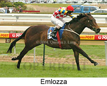 Emlozza (16519 bytes)