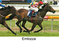 Emlozza (16519 bytes)