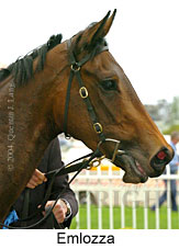 Emlozza (16519 bytes)