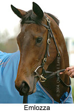 Emlozza (16519 bytes)