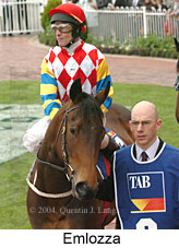 Emlozza (16519 bytes)