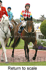 Return to scale (17972 bytes)