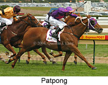 Patpong (16519 bytes)