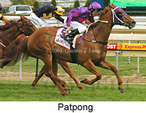 Patpong (16519 bytes)