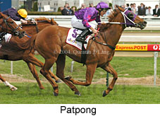 Patpong (16519 bytes)