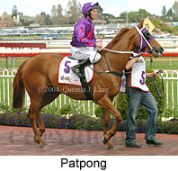 Patpong (16519 bytes)