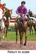 Return to scale (17972 bytes)