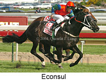 Econsul (16519 bytes)