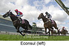 Econsul (13269 bytes)