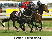 Econsul (16519 bytes)