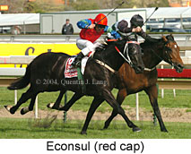 Econsul (16519 bytes)