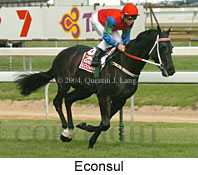 Econsul (16519 bytes)