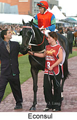 Econsul (16519 bytes)