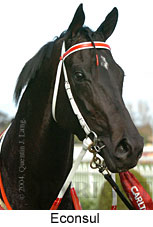 Econsul (16519 bytes)