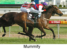 Mummify (16619 bytes)