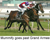 Mummify (16519 bytes)