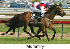 Mummify (16519 bytes)