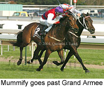 Mummify (16519 bytes)