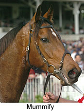 Mummify (16519 bytes)