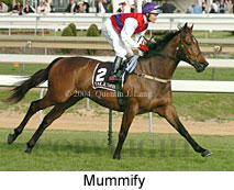 Mummify (16519 bytes)