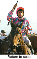 Return to scale (17972 bytes)