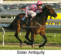 Solar Antiquity (16519 bytes)