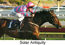 Solar Antiquity (16519 bytes)