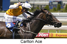 Carlton Ace (14772 bytes)