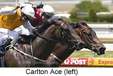 Carlton Ace (15049 bytes)