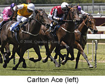 Carlton Ace (17857 bytes)
