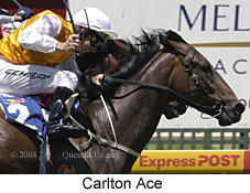 Carlton Ace (17238 bytes)