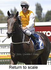 Return to scale (14008 bytes)