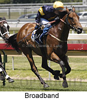 Broadband (16122 bytes)