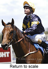 Return to scale (13885 bytes)