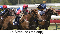 La Sirenuse (15432 bytes)