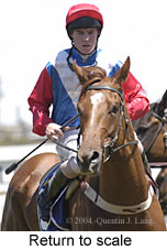 Return to scale (13167 bytes)