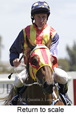 Return to scale (13885 bytes)