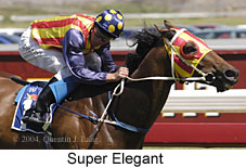 Super Elegant (16122 bytes)