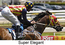 Super Elegant (14055 bytes)