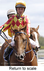 Return to scale (15065 bytes)