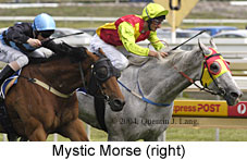 Mystic Morse (15524 bytes)