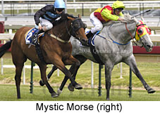 Mystic Morse (17635 bytes)