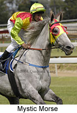 Mystic Morse (15201 bytes)