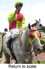 Return to scale (14018 bytes)