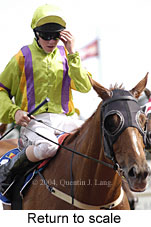 Return to scale (13767 bytes)