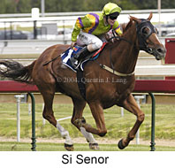 Si Senor (16132 bytes)